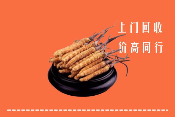 高价求购：岳阳市回收散虫草