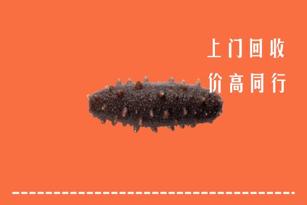高价求购：岳阳市回收海参