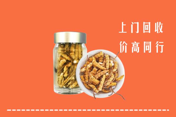 岳阳市回收冬虫夏草